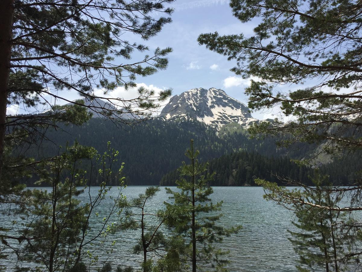 Villa Moutain View Žabljak Dış mekan fotoğraf