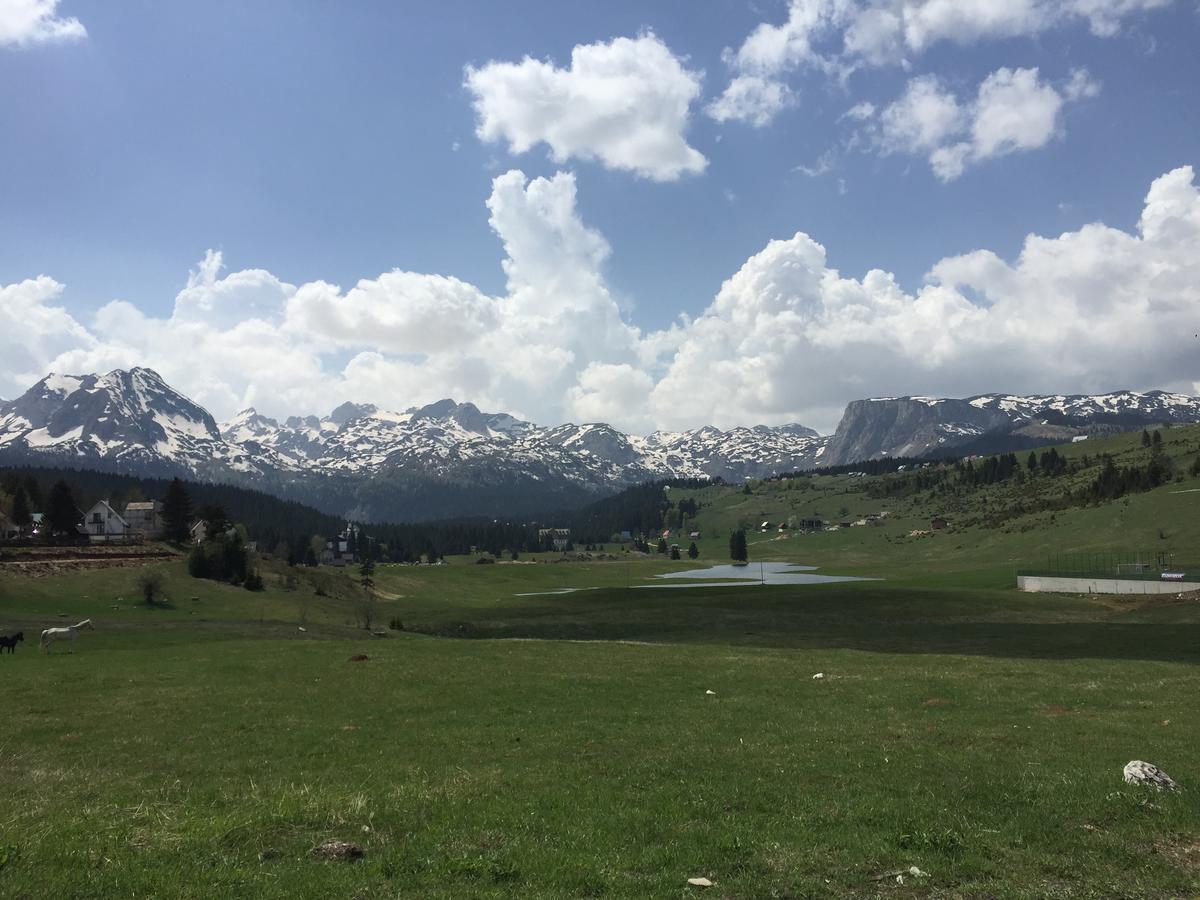 Villa Moutain View Žabljak Dış mekan fotoğraf