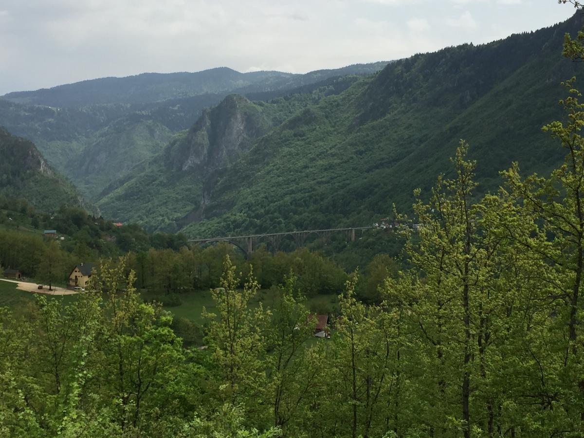 Villa Moutain View Žabljak Dış mekan fotoğraf